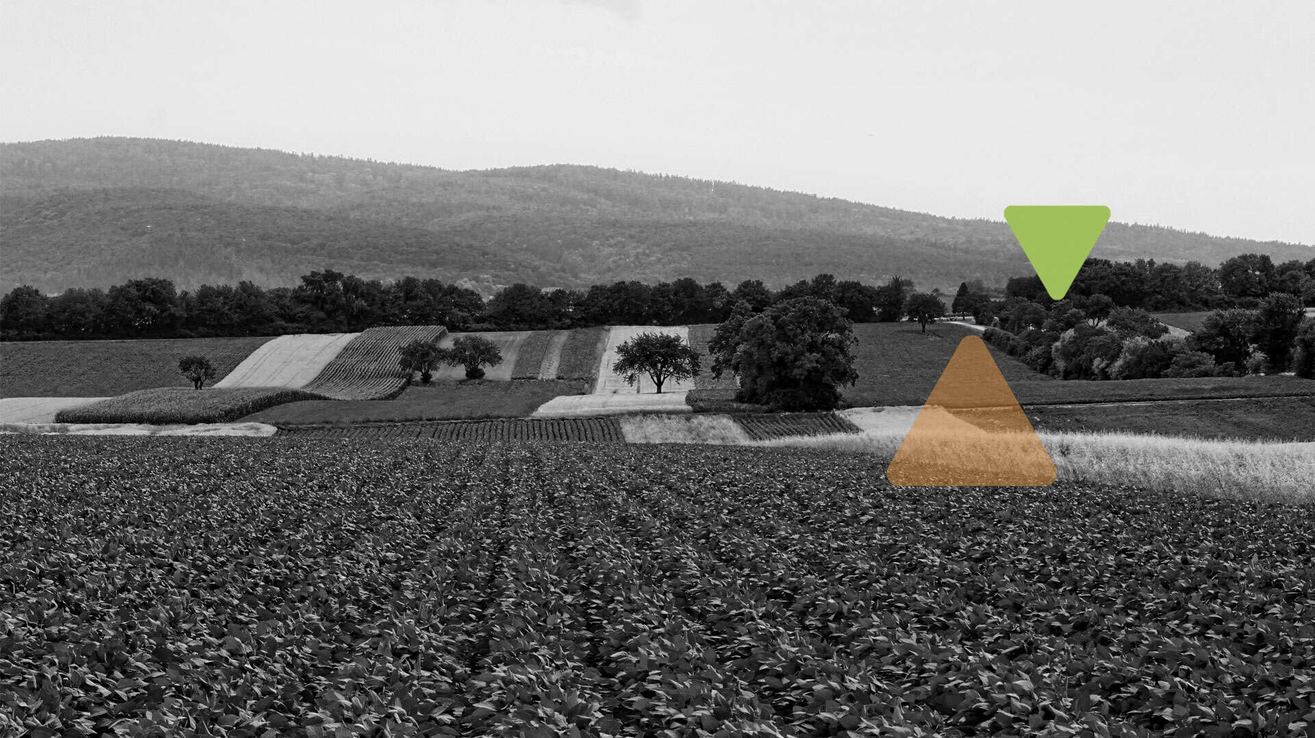 CSR Veneto verso i nuovi bandi 2026: previsti 60 milioni di euro per l’agricoltura